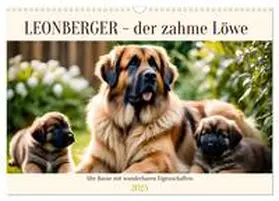CALVENDO / Kleemann |  Leonberger - der zahme Löwe (Wandkalender 2025 DIN A3 quer), CALVENDO Monatskalender | Sonstiges |  Sack Fachmedien