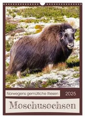 CALVENDO / Webeler |  Moschusochsen - Norwegens gemütliche Riesen (Wandkalender 2025 DIN A3 hoch), CALVENDO Monatskalender | Sonstiges |  Sack Fachmedien