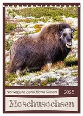 CALVENDO / Webeler |  Moschusochsen - Norwegens gemütliche Riesen (Tischkalender 2025 DIN A5 hoch), CALVENDO Monatskalender | Sonstiges |  Sack Fachmedien
