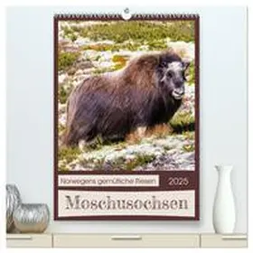 CALVENDO / Webeler |  Moschusochsen - Norwegens gemütliche Riesen (hochwertiger Premium Wandkalender 2025 DIN A2 hoch), Kunstdruck in Hochglanz | Sonstiges |  Sack Fachmedien