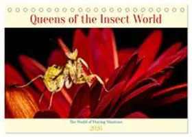CALVENDO / Brack |  Queens of the Insect World (Desk Calendar 2026 DIN A5 landscape), CALVENDO 12 Month DeskCalendar | Sonstiges |  Sack Fachmedien