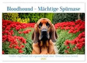 Kleemann / CALVENDO |  Bloodhound - Mächtige Spürnase (Wandkalender 2026 DIN A2 quer), CALVENDO Monatskalender | Sonstiges |  Sack Fachmedien