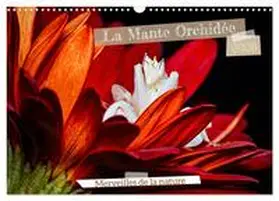 CALVENDO / Brack |  La Mante Orchidée (Calendrier mural 2026 DIN A3 vertical), CALVENDO calendrier mensuel | Sonstiges |  Sack Fachmedien