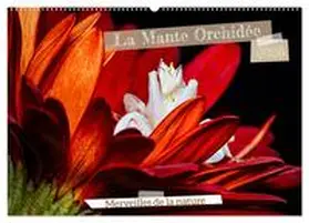 CALVENDO / Brack |  La Mante Orchidée (Calendrier mural 2026 DIN A2 vertical), CALVENDO calendrier mensuel | Sonstiges |  Sack Fachmedien