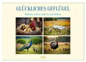 Kleemann / CALVENDO |  Glückliches Geflügel (Wandkalender 2026 DIN A3 quer), CALVENDO Monatskalender | Sonstiges |  Sack Fachmedien