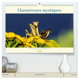 CALVENDO / Brack |  Chasseresses mystiques  (Calendrier mural 2026 DIN A2 vertical) calendrier de bureau | Sonstiges |  Sack Fachmedien