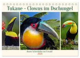 Kleemann / CALVENDO |  Tukane - Clowns im Dschungel (Tischkalender 2026 DIN A5 quer), CALVENDO Monatskalender | Sonstiges |  Sack Fachmedien