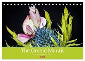CALVENDO / Brack |  The Orchid Mantis (Desk Calendar 2026 DIN A5 landscape), CALVENDO 12 Month DeskCalendar | Sonstiges |  Sack Fachmedien