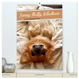 Schimmack / CALVENDO |  Sassy, fluffy, fabulous - A year of Pekingese charm (High Quality Premium Wall Calendar 2026 DIN A2 portrait),CALVENDO 12 Month Wall Calendar | Sonstiges |  Sack Fachmedien