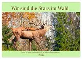 CALVENDO / Kramer |  Wir sind die Stars im Wald (Wandkalender 2026 DIN A2 quer), CALVENDO Monatskalender | Sonstiges |  Sack Fachmedien