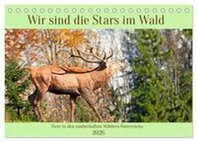 CALVENDO / Kramer |  Wir sind die Stars im Wald (Tischkalender 2026 DIN A5 quer), CALVENDO Monatskalender | Sonstiges |  Sack Fachmedien