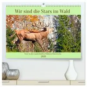 CALVENDO / Kramer |  Wir sind die Stars im Wald (hochwertiger Premium Wandkalender 2026 DIN A2 quer), Kunstdruck in Hochglanz | Sonstiges |  Sack Fachmedien