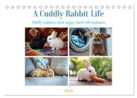 CALVENDO / Waurick |  A Cuddly Rabbit Life (Desk Calendar 2026 DIN A5 landscape), CALVENDO 12 Month DeskCalendar | Sonstiges |  Sack Fachmedien