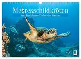 CALVENDO |  Meeresschildkröten: Aus den blauen Tiefen der Ozeane (Wandkalender 2026 DIN A3 quer), CALVENDO Monatskalender | Sonstiges |  Sack Fachmedien