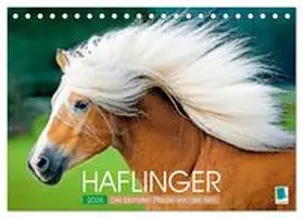 CALVENDO |  Haflinger: Die blonden Pferde von der Alm (Tischkalender 2026 DIN A5 quer), CALVENDO Monatskalender | Sonstiges |  Sack Fachmedien