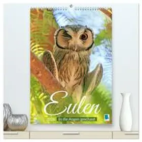 CALVENDO |  Eulen: In die Augen geschaut (hochwertiger Premium Wandkalender 2026 DIN A2 hoch), Kunstdruck in Hochglanz | Sonstiges |  Sack Fachmedien