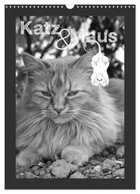 Schäfer / CALVENDO |  Katz & Maus (Wandkalender 2026 DIN A3 hoch), CALVENDO Monatskalender | Sonstiges |  Sack Fachmedien