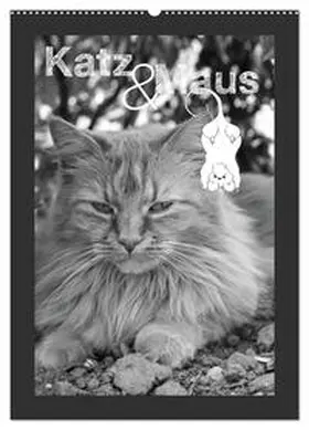 Schäfer / CALVENDO |  Katz & Maus (Wandkalender 2026 DIN A2 hoch), CALVENDO Monatskalender | Sonstiges |  Sack Fachmedien