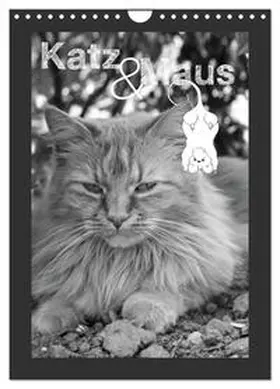 Schäfer / CALVENDO |  Katz & Maus (Wandkalender 2026 DIN A4 hoch), CALVENDO Monatskalender | Sonstiges |  Sack Fachmedien
