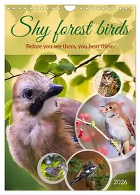 Kleemann / CALVENDO |  Shy forest birds (Wall Calendar 2026 DIN A4 portrait), CALVENDO 12 Month Wall Calendar | Sonstiges |  Sack Fachmedien