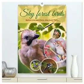 Kleemann / CALVENDO |  Shy forest birds (High Quality Premium Wall Calendar 2026 DIN A2 portrait),CALVENDO 12 Month Wall Calendar | Sonstiges |  Sack Fachmedien