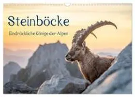 Kramer / CALVENDO |  Steinböcke - Eindrückliche Könige der Alpen (Wandkalender 2026 DIN A3 quer), CALVENDO Monatskalender | Sonstiges |  Sack Fachmedien
