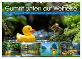 Waurick / CALVENDO |  Gummienten auf Weltreise (Wandkalender 2026 DIN A2 quer), CALVENDO Monatskalender | Sonstiges |  Sack Fachmedien