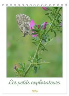 CALVENDO / Aupeix |  Les petits explorateurs (Calendrier de bureau 2026 DIN A5 horizontal), CALVENDO calendrier mensuel | Sonstiges |  Sack Fachmedien