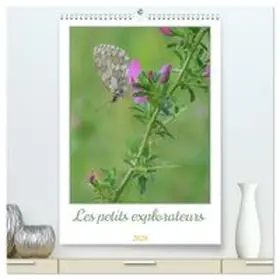 CALVENDO / Aupeix | Les petits explorateurs  (Calendrier mural 2026 DIN A2 horizontal) calendrier de bureau | Sonstiges | 978-3-457-28982-2 | www.sack.de