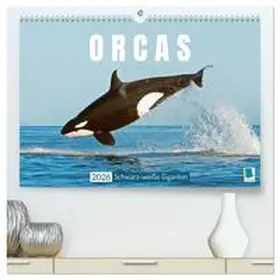 CALVENDO |  Orcas: Schwarz-weiße Giganten (hochwertiger Premium Wandkalender 2026 DIN A2 quer), Kunstdruck in Hochglanz | Sonstiges |  Sack Fachmedien