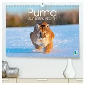 CALVENDO |  Puma: Auf leisen Pfoten (hochwertiger Premium Wandkalender 2026 DIN A2 quer), Kunstdruck in Hochglanz | Sonstiges |  Sack Fachmedien