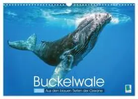 CALVENDO |  Buckelwale: Aus den blauen Tiefen der Ozeane (Wandkalender 2026 DIN A3 quer), CALVENDO Monatskalender | Sonstiges |  Sack Fachmedien