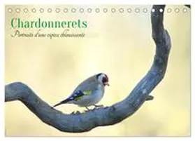 Aupeix / CALVENDO |  Chardonnerets - Portraits d'une espèce éblouissante (Calendrier de bureau 2026 DIN A5 vertical), CALVENDO calendrier mensuel | Sonstiges |  Sack Fachmedien