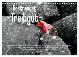 Mock / CALVENDO |  Gestrandet -Treibgut- (Wandkalender 2026 DIN A4 quer), CALVENDO Monatskalender | Sonstiges |  Sack Fachmedien