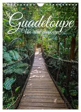 Wehnert / CALVENDO |  Guadeloupe - Un rêve caribéen (Calendrier mural 2026 DIN A4 horizontal), CALVENDO calendrier mensuel | Sonstiges |  Sack Fachmedien
