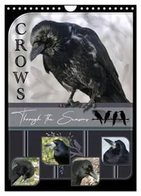 CALVENDO / Saar |  Crows - Through the Seasons (Wall Calendar 2026 DIN A4 portrait), CALVENDO 12 Month Wall Calendar | Sonstiges |  Sack Fachmedien