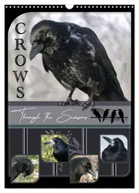 CALVENDO / Saar |  Crows - Through the Seasons (Wall Calendar 2026 DIN A3 portrait), CALVENDO 12 Month Wall Calendar | Sonstiges |  Sack Fachmedien