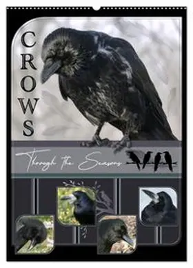 CALVENDO / Saar |  Crows - Through the Seasons (Wall Calendar 2026 DIN A2 portrait), CALVENDO 12 Month Wall Calendar | Sonstiges |  Sack Fachmedien