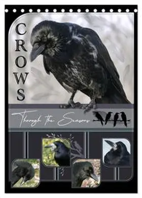 CALVENDO / Saar |  Crows - Through the Seasons (Desk Calendar 2026 DIN A5 portrait), CALVENDO 12 Month DeskCalendar | Sonstiges |  Sack Fachmedien