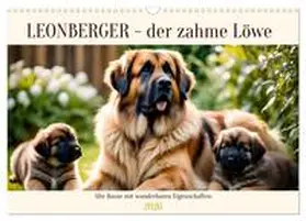 Kleemann / CALVENDO |  Leonberger - der zahme Löwe (Wandkalender 2026 DIN A3 quer), CALVENDO Monatskalender | Sonstiges |  Sack Fachmedien