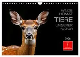 CALVENDO / Roder |  Wilde Heimat - Tiere unserer Natur (Wandkalender 2026 DIN A4 quer), CALVENDO Monatskalender | Sonstiges |  Sack Fachmedien