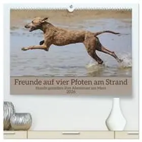 Bittner / CALVENDO |  Freunde auf vier Pfoten am Strand (hochwertiger Premium Wandkalender 2026 DIN A2 quer), Kunstdruck in Hochglanz | Sonstiges |  Sack Fachmedien