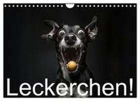 CALVENDO / Moers |  Leckerchen! (Wandkalender 2026 DIN A4 quer), CALVENDO Monatskalender | Sonstiges |  Sack Fachmedien
