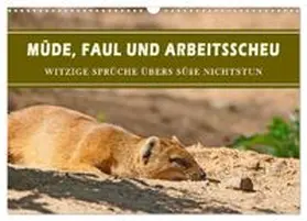 CALVENDO / B-B Müller |  Müde, faul und arbeitsscheu (Wandkalender 2026 DIN A3 quer), CALVENDO Monatskalender | Sonstiges |  Sack Fachmedien