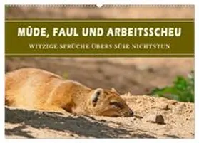 CALVENDO / B-B Müller |  Müde, faul und arbeitsscheu (Wandkalender 2026 DIN A2 quer), CALVENDO Monatskalender | Sonstiges |  Sack Fachmedien