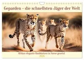 Kleemann / CALVENDO |  Geparden - die schnellsten Jäger der Welt (Wandkalender 2026 DIN A4 quer), CALVENDO Monatskalender | Sonstiges |  Sack Fachmedien