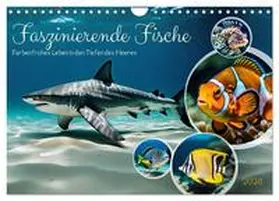Kleemann / CALVENDO |  Faszinierende Fische (Wandkalender 2026 DIN A4 quer), CALVENDO Monatskalender | Sonstiges |  Sack Fachmedien