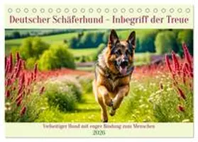 Kleemann / CALVENDO |  Deutscher Schäferhund - Inbegriff der Treue (Tischkalender 2026 DIN A5 quer), CALVENDO Monatskalender | Sonstiges |  Sack Fachmedien