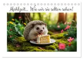 CALVENDO / Rosin |  Mahlzeit... Wie wir Sie selten sehen! (Tischkalender 2026 DIN A5 quer), CALVENDO Monatskalender | Sonstiges |  Sack Fachmedien