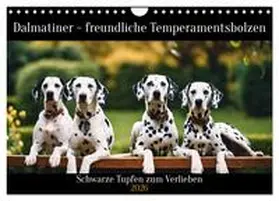 Kleemann / CALVENDO |  Dalmatiner - freundliche Temperamentsbolzen (Wandkalender 2026 DIN A4 quer), CALVENDO Monatskalender | Sonstiges |  Sack Fachmedien